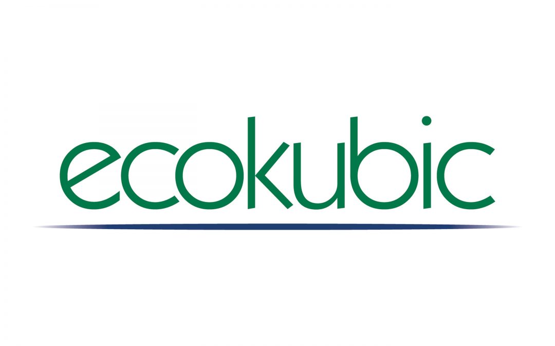Ecokubic Logo